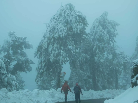 Κοζάνη: Επιχείρηση διάσωσης για δύο παγι...