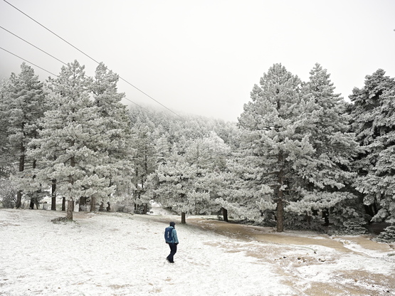 Κακοκαιρία στην Αχαΐα: Προβλήματα στην κ...