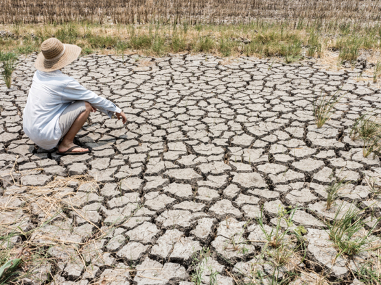 ΟΗΕ: Ο πλανήτης κινδυνεύει με «παγκόσμια...