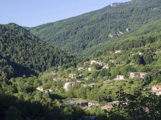 Ζαρούχλα Αχαΐας: Ένα χωριό πλημμυρισμένο...