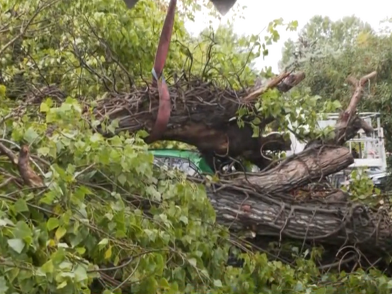 Στο έλεος της κακοκαιρίας η Αχαΐα! Ισχυρ...