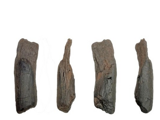 Στη Μεγαλόπολη Αρκαδίας τα αρχαιότερα γν...