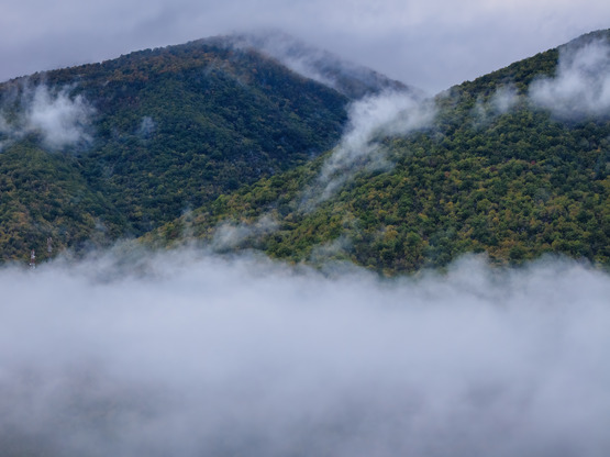 Θοδωρής Κολυδάς: Οι βροχοπτώσεις δεν είν...