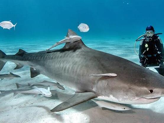 Παραλίες: Αυτές είναι οι δέκα πιο επικίν...
