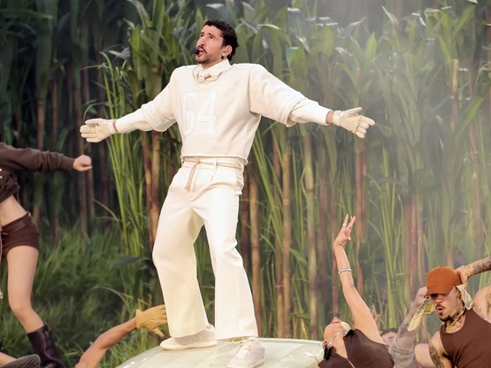 Bud Bunny, Super Bowl: Με custom looks Z...