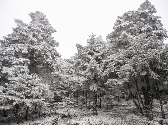 Καιρός: Πού έδειξε -17 το θερμόμετρο