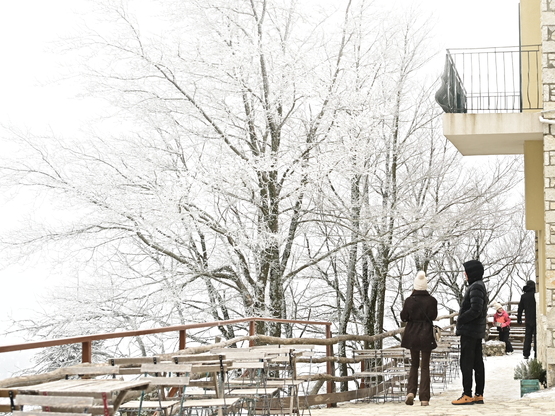 Καιρός: Τσουχτερό κρύο με λιακάδα στη Δυ...