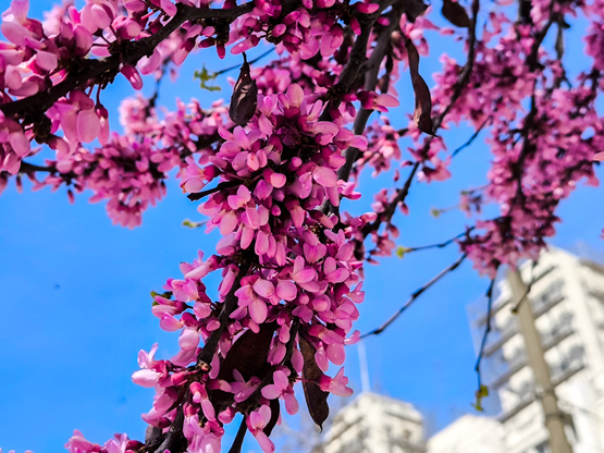 Η τάση για τον καιρό το Πάσχα - Πότε πε...