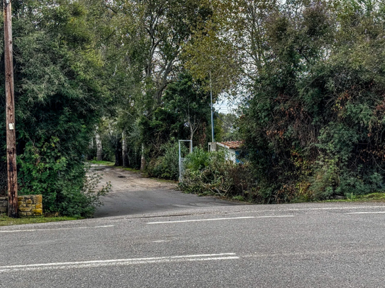 Διπλό φονικό στη Φοινικούντα: Δύο νέα πρ...