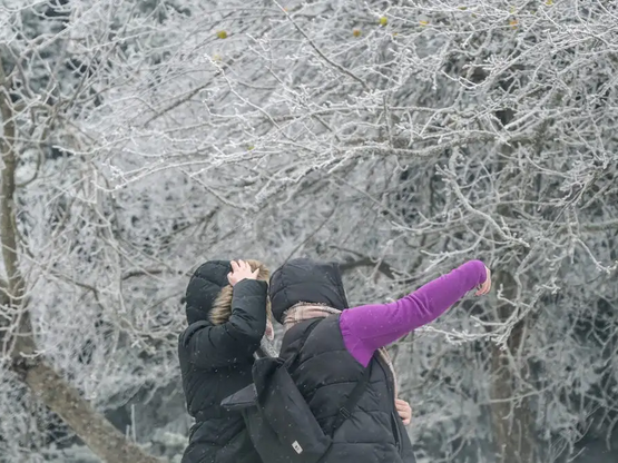 Καιρός: Άνεμοι, βροχές και χιόνια στο σκ...