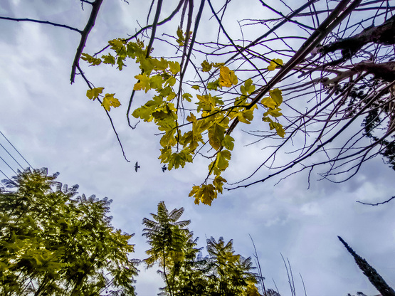 Καιρός: Πάσχα με κρύο και βροχές δείχνου...