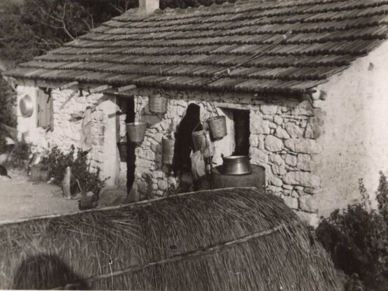 Καθαρά Δευτέρα στην Πάτρα: Τα έθιμα μέσα...