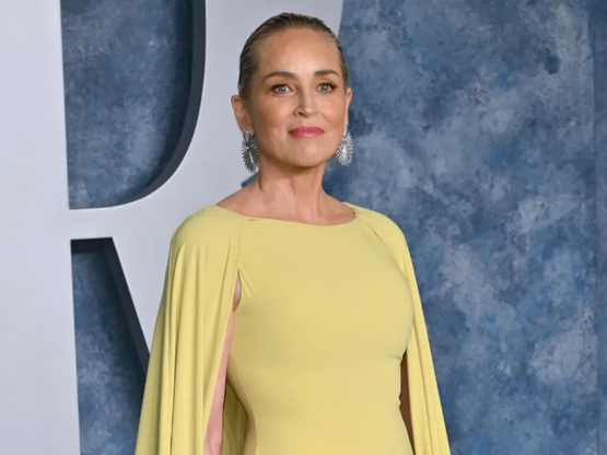 H Σάρον Στόουν αποκάλυψε ποιος ηθοποιός ...