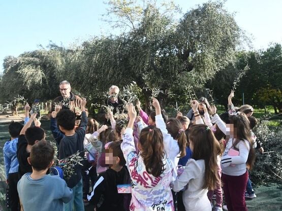 Δήμος Πατρέων: Μαθητές δημοτικών σχολείω...