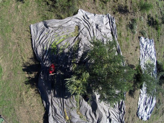 Διαδικτυακή συνάντηση για το έργο Ambitious