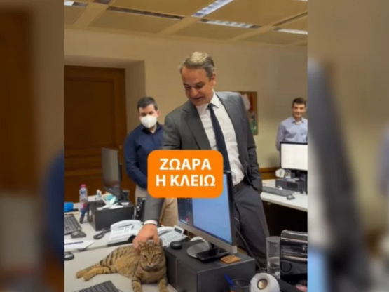 Νέα ένοικος στο Μαξίμου, μια γάτα 