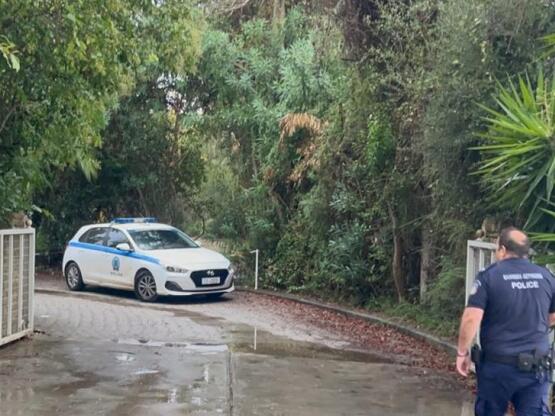 Φοινικούντα: Νέες καταθέσεις από ανιψιό,...