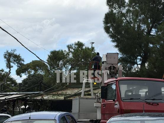 Πάτρα: Έπεσε κλάρα δέντρου στα Ψηλά Αλών...