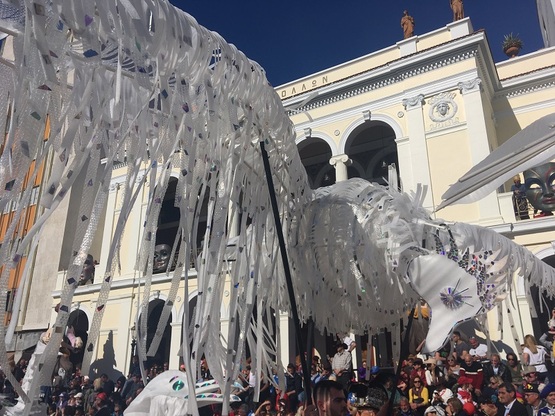 ΠΟΥΛΙΑ, ΑΡΛΕΚΙΝ, ΡΑΠΤΟΜΗΧΑΝΕΣ, ΜΠΟΑ ΚΑΙ ...
