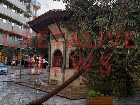 Ηράκλειο: Πτώσεις δέντρων από ολιγόλεπτη καταιγίδα