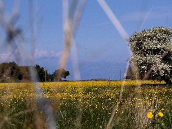 Ανοιξιάτικο Πάσχα με λιακάδα! Τι λέει ο ...