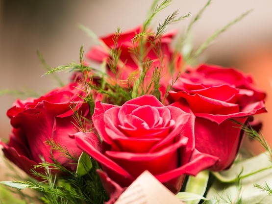 Αγίου Βαλεντίνου 2026: Ο έρωτας… ακριβαί...