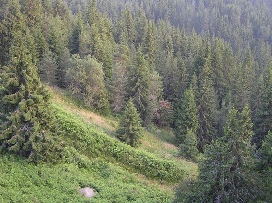 Προδιαγεγραμμένη καύση: Το νέο μοντέλο π...
