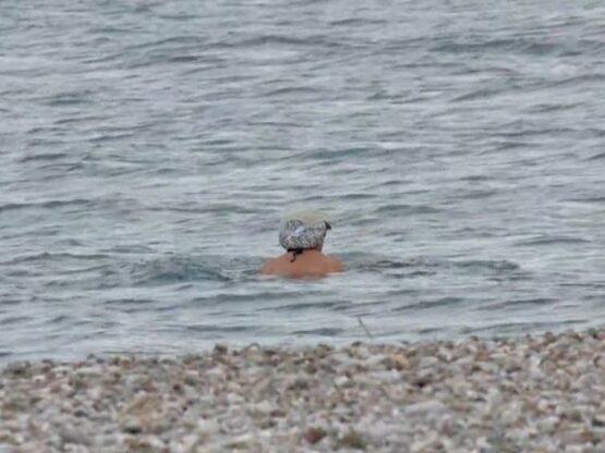 Πάτρα: Οι χειμερινοί κολυμβητές υποδέχτη...