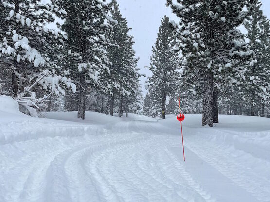Χιονοστιβάδα στην Καλιφόρνια: Νεκροί οκτ...