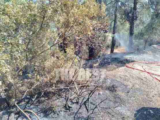Πάτρα: Kάλεσαν την πυροσβεστική στα Βραχ...