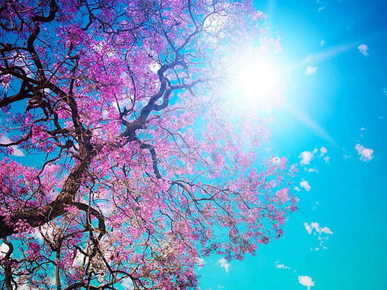 Ευχές αγάπης από όλους εμάς για όλους εσάς