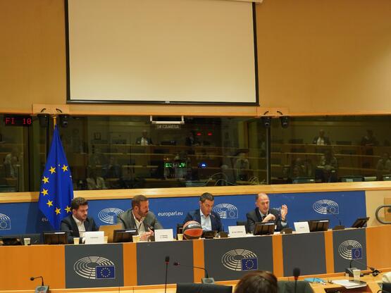 Ο Νίκος Παππάς για το μέλλον του ευρωπαϊ...