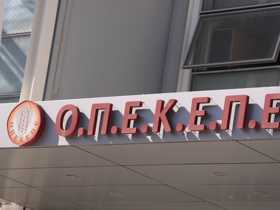 Νέα ευρήματα για τις παράνομες επιδοτήσε...