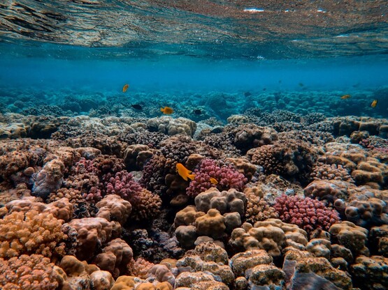 Κλίμα: Η γη έχει φτάσει στο πρώτο καταστ...