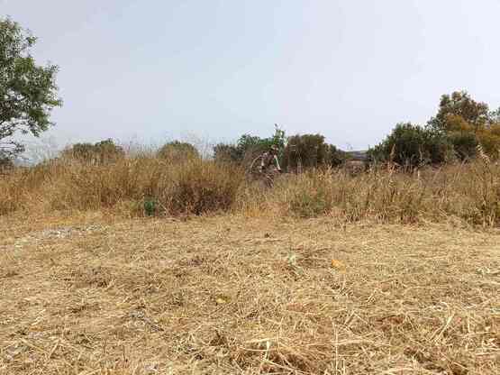 Πάτρα: Από 1η Απρίλη οι πολίτες καλούντα...