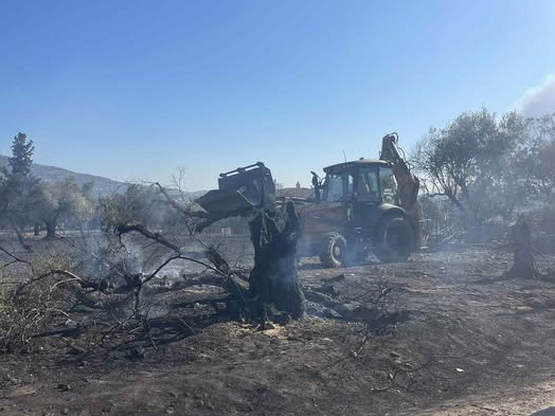 Πάτρα: Υπό έλεγχο η πυρκαγιά στη Γλαύκου...