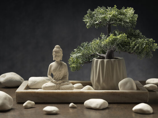 Φενγκ Σούι: Πώς να βρείτε τη γωνιά του χ...