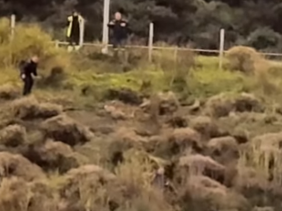 Ναυπακτία: Άνδρας απειλούσε να πέσει από...