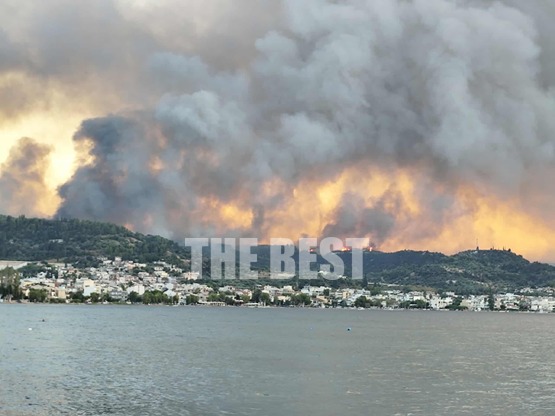 Δραματική έκκληση της ΕΛ.ΑΣ. για άμεση α...