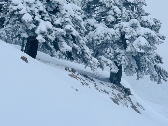Με χιονόπτωση η πρώτη μέρα της άνοιξης σ...