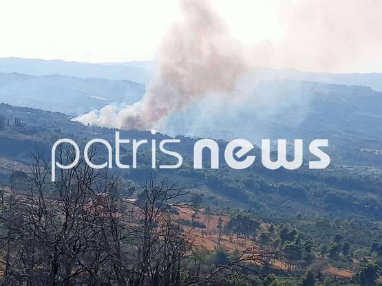 Hλεία: Σε ύφεση η φωτιά στο Χελιδόνι