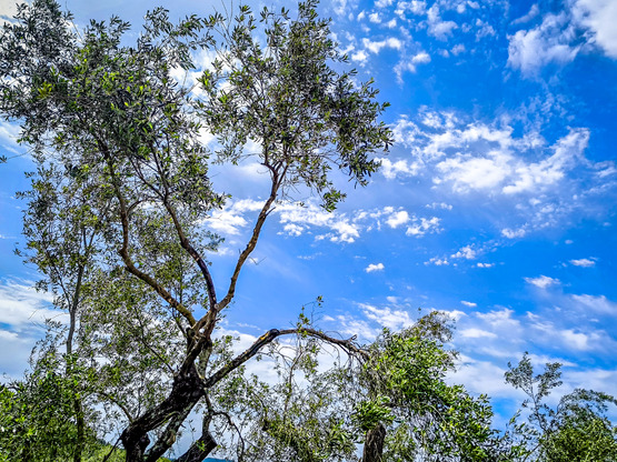 Καιρός: Το στάσιμο βαρομετρικό χαμηλό φέ...