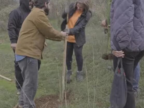 Καλάβρυτα: Δενδροφύτευση από την Ενωση Θ...